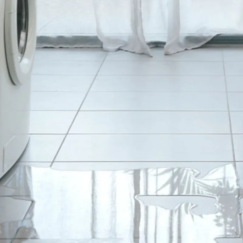 Appliance Leak Cleanup in Diablo, CA